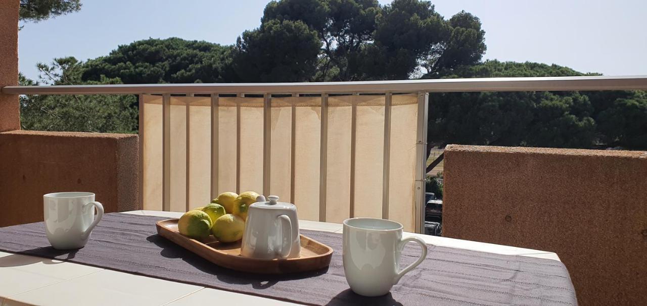 Ferienwohnung L'Etoile Sous Les Pins - La Loge Hyères Exterior foto